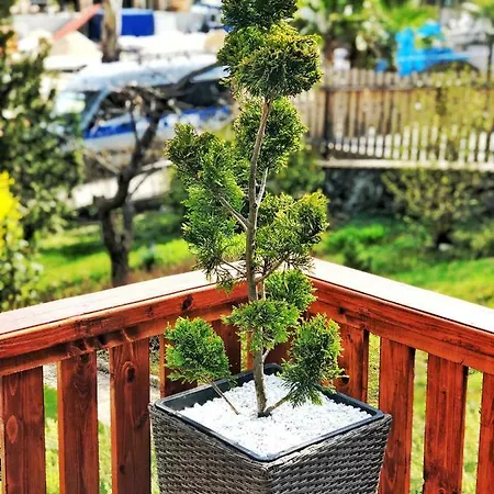 Tagore Apartman Apartman